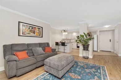 601 W 11th Ave unit 409, Denver, CO 80204 - photo 5