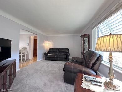 Living room featuring light carpet