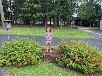 15250 County Road 3111, Gladewater, TX 75647 - photo 6