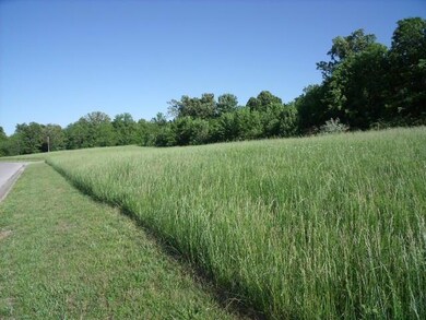 1500 Blk N State Hwy 160 SE, Nixa, MO 65714 - photo 7