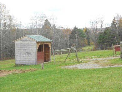 Yard/Garden.