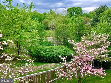 15128 Red Cedar Dr, Burtonsville, MD 20866 - photo 3