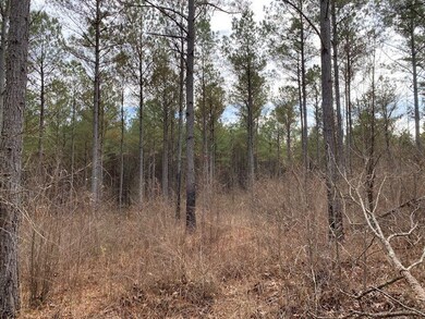 TBD Cr 411, Oxford, MS 38655 - photo 2