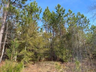 223 Kersey Rd, Adrian, GA 31002 - photo 5