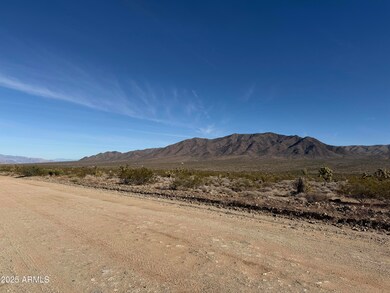 0 Bayleaf Dr, Meadview, AZ 86444 - photo 7