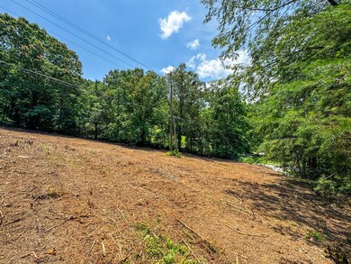 0 Island Cove Rd unit 23824831, Rocky Top, TN 37769 - photo 4