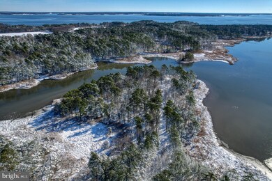 3779 Eastern Neck Rd, Rock Hall, MD 21661 - photo 5