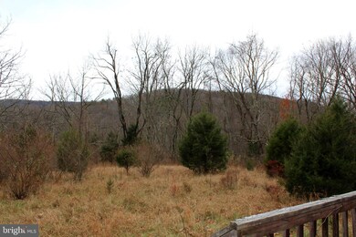 529 Posy Hill Rd, Lost City, WV 26810 - photo 3