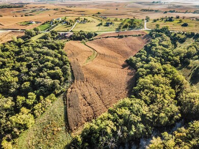 0 Preston Place, Logan, IA 51546 - photo 4