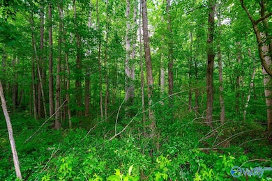 Bobo Section Bobo Section Rd, Hazel Green, AL 35750 - photo 5