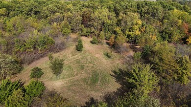 000 State Highway 39, South Greenfield, MO 65752 - photo 4