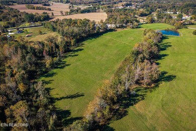 0 Bloomington Rd, Baxter, TN 38544 - photo 4