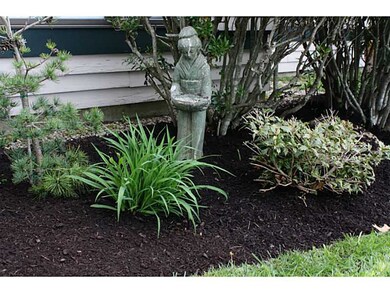 Yard/Garden.