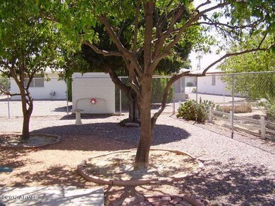 Backyard 2