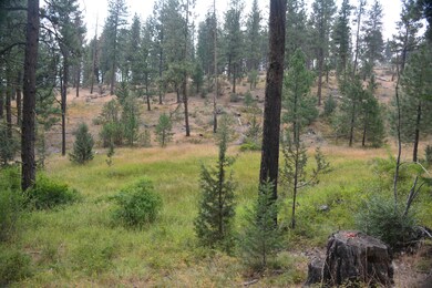 0 Luce Creek Rd unit 220109938, John Day, OR 97845 - photo 4