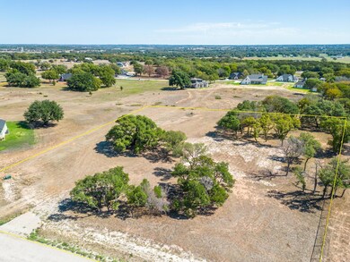 304 Hopsing Ct, Weatherford, TX 76087 - photo 3