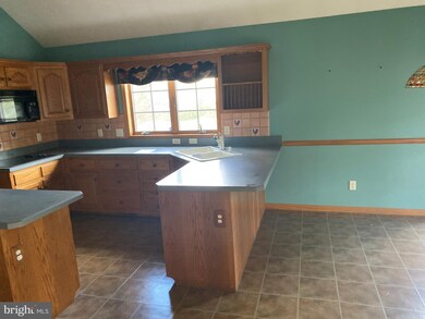 9 Cripple Creek Run, Milton, DE 19968 - photo 6