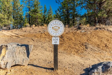 69-web-or-mls-Riley Visuals-69