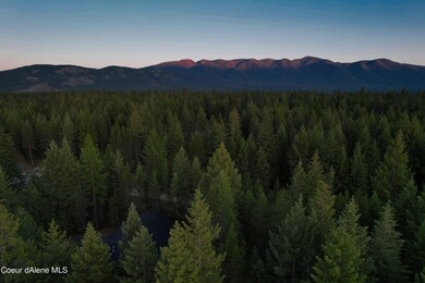 DJI_0847