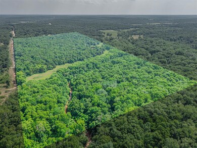 View of drone / aerial view
