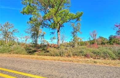 TBD Fm 2022, Grapeland, TX 75844 - photo 3