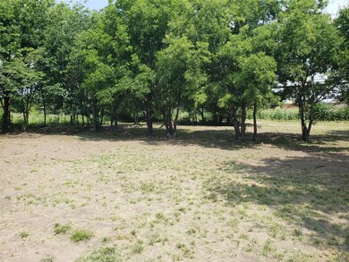 117 Enchanted Lakes Dr, Azle, TX 76020 - photo 6