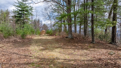 97 Channel View Dr, Cullowhee, NC 28723 - photo 5