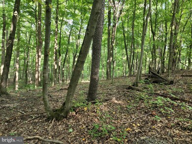 0 Dogwood Ln unit WVMO2002192, Berkeley Springs, WV 25411 - photo 2