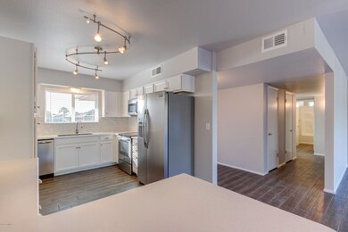 10130 W Cinnebar Ave, Sun City, AZ 85351 - photo 5