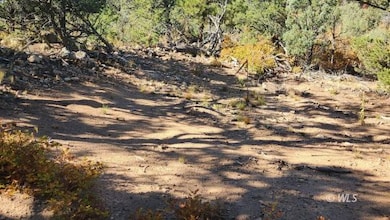 TBD L 42nd Trail, Cotopaxi, CO 81223 - photo 7