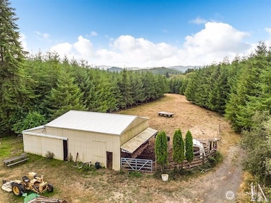 0 Xx Markley St, Raymond, WA 98577 - photo 3