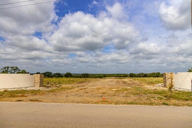 305 Blue Castle Ct, Weatherford, TX 76088 - photo 7