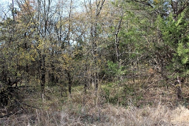 0 Red Lake Rd, Albany, OK 74726 - photo 5