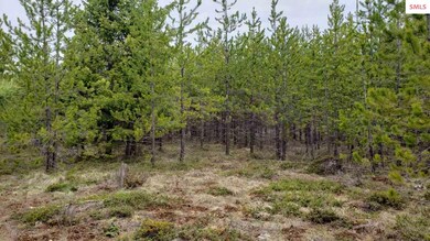 NKA Honeysuckle Rd, Athol, ID 83801 - photo 2