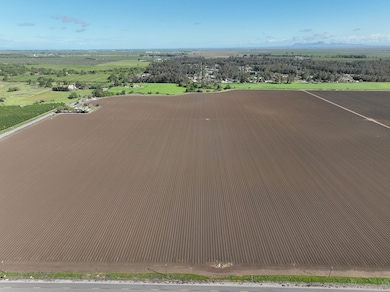 28470 County Rd 6, Dunnigan, CA 95937 - photo 5