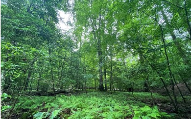 Additional View