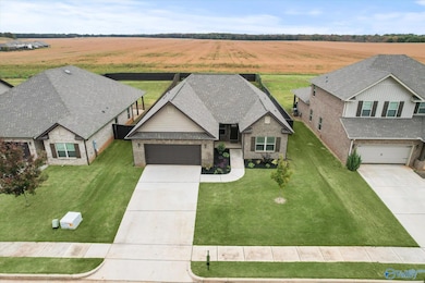 235 Holt St, Meridianville, AL 35759 - photo 3