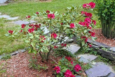 85 Eaton Hill E, Castleton, VT 05735 - photo 4