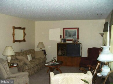 115 Button Bush Ave, Stephens City, VA 22655 - photo 7