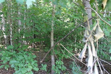 249 Donsdale Dr, Statesville, NC 28625 - photo 5