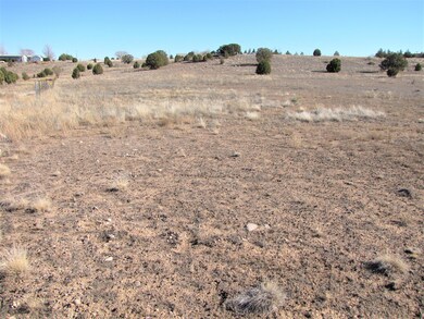 0 W Little Ranch Rd unit 1026612, Paulden, AZ 86334 - photo 6