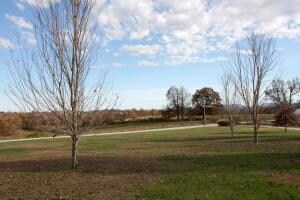 669A Redwood Dr N, Harrison, AR 72601 - photo 5