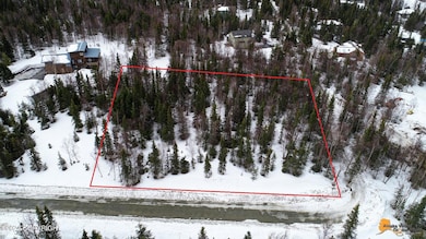 000 Wind Song Dr, Anchorage, AK 99516 - photo 2
