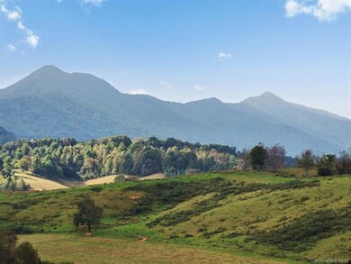 16 New Morning Place, Leicester, NC 28748 - photo 3