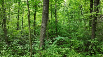 1764 Highway 63, Turtle Lake, WI 54889 - photo 7