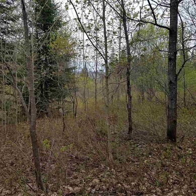 0 Newark St unit 4714978, West Burke, VT 05871 - photo 5