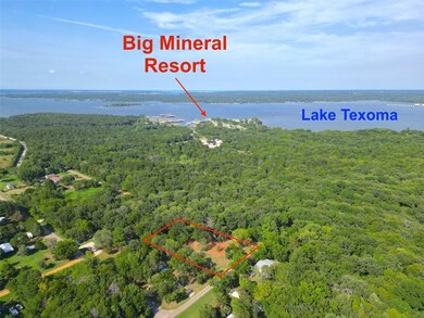 157 James Shannon Ln, Sadler, TX 76264 - photo 5