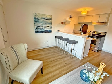 Kitchen with stainless steel range with electric 