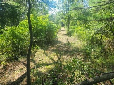 0 Shady Ln, West Bath, ME 04530 - photo 6