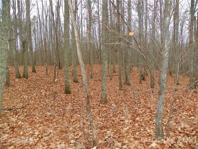 00 Sequoia Dr, Gastonia, NC 28052 - photo 5